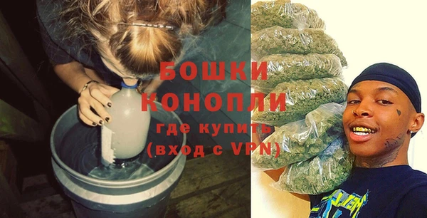дурь Алексин