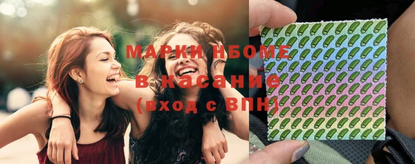 дмт Алзамай