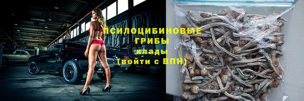 дурь Алексин