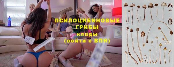 соль курить ск Пестово