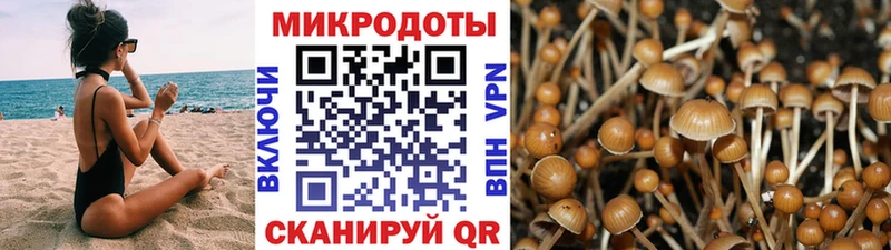 Галлюциногенные грибы мухоморы  Лобня 