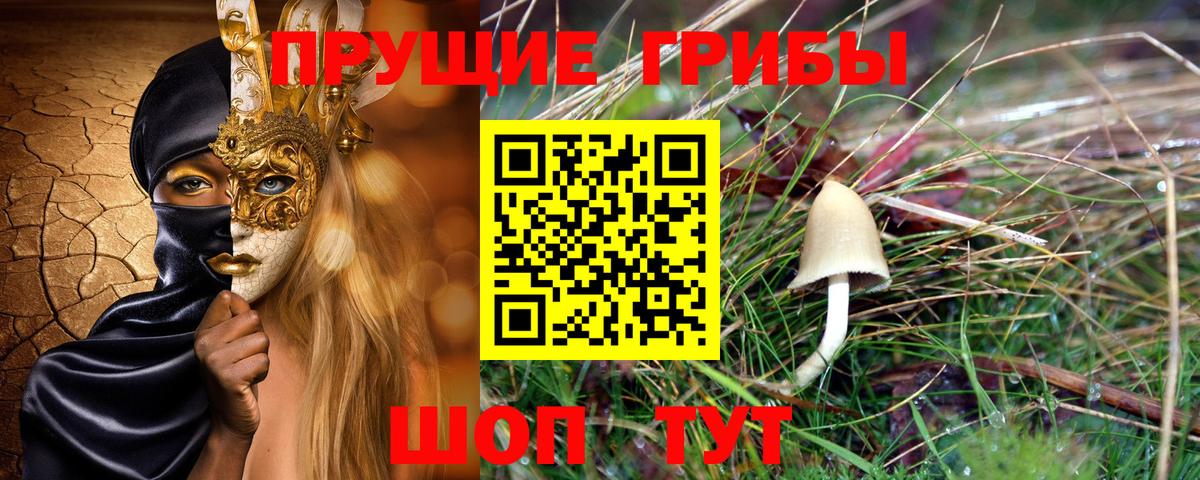 Лобня  Галлюциногенные грибы MAGIC MUSHROOMS  Вход с VPN  Галлюциногенные грибы прущие грибы 